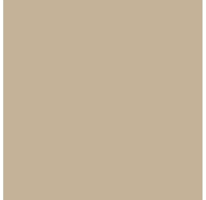 Керамическая плитка STARK TAUPE     60X60 RECT. Бежевый 60X60X10 (NCR01504)
