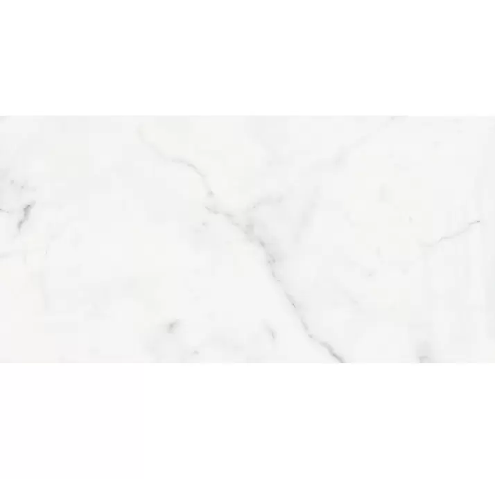 Керамическая плитка ESTATUARIO  PUL.  50X100 5,6 Серый 100X50X5,6 (NCR00625)