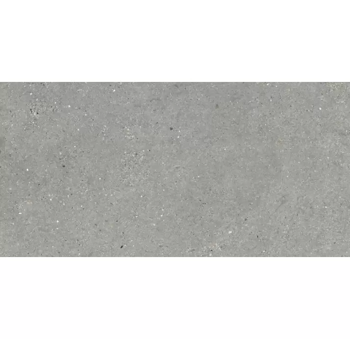 Керамическая плитка MITICA GRIS       60X120 REC. Серый 120X60X10 (NCR01123)