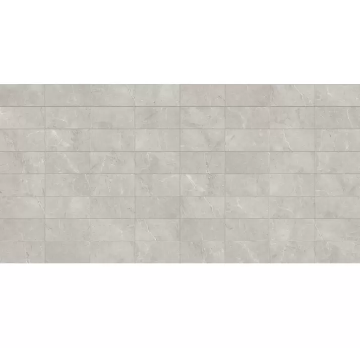 Керамическая плитка PALERMO GRIS  30X60  REC. Серый 60X30X10 (NCR01269)