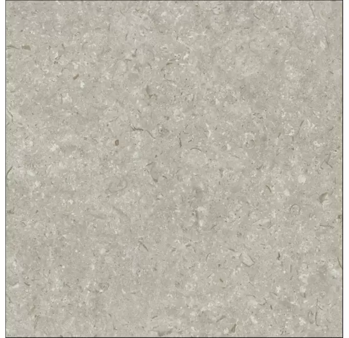 Керамическая плитка FOSIL GRIS   60X60 REC. Серый 60X60X10 (NCR00680)