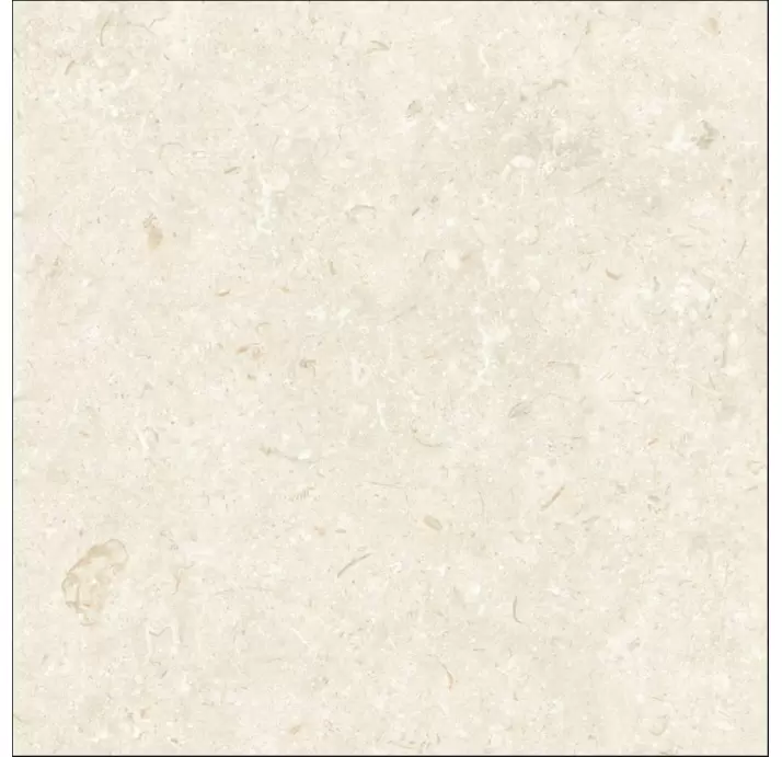 Керамическая плитка FOSIL BONE   80X80 REC. Бежевый 80X80X10 (NCR00678)