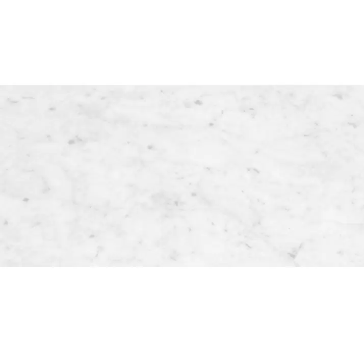 Керамическая плитка MARMOREA CARRARA   30X60 NAT. Серый 60X30X10 (NCR00943)