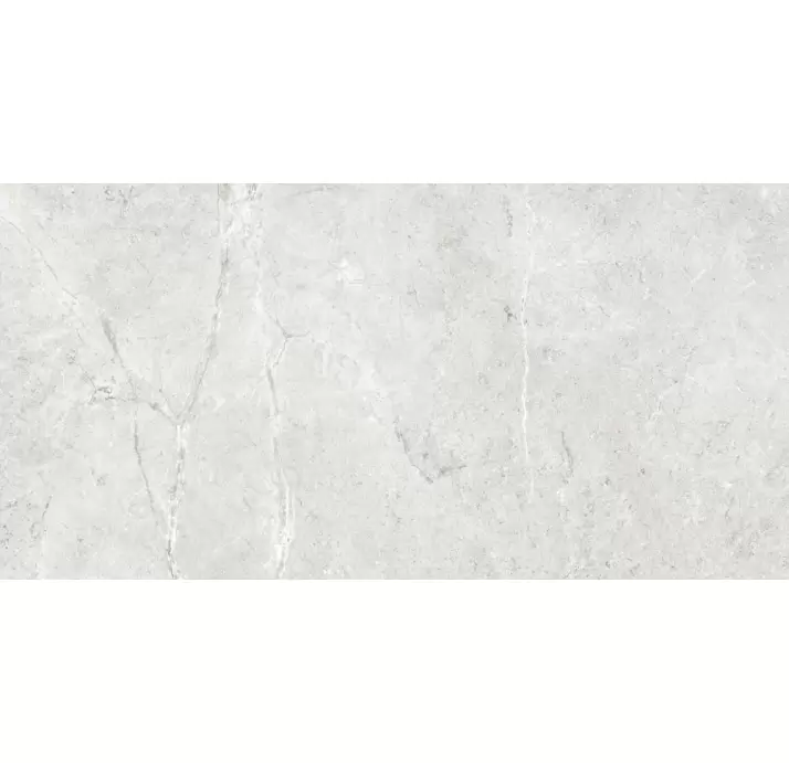 Керамическая плитка PALERMO GRIS  60X120 REC. Серый 120X60X10 (NCR01270)