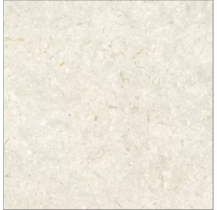 Керамическая плитка FOSIL BONE   60X60 REC. Бежевый 60X60X10 (NCR00677)