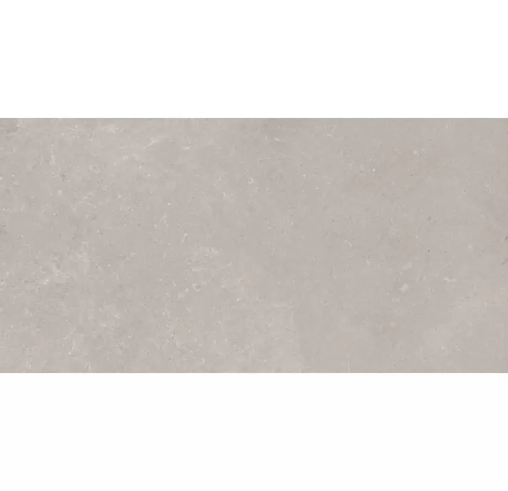 Керамическая плитка VILLAGE VISON 60X120 RECT. Бежевый 120X60X10 (NCR01763)