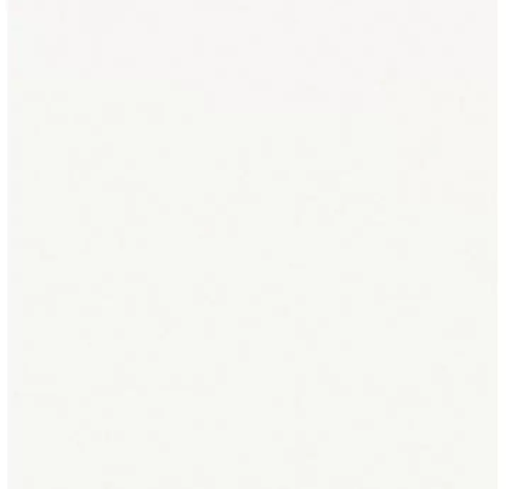 Крупноформатная плита BASIC NIEVE PUL. 100X300 10 SR Серый 300X100X10,5 (NCR00268)