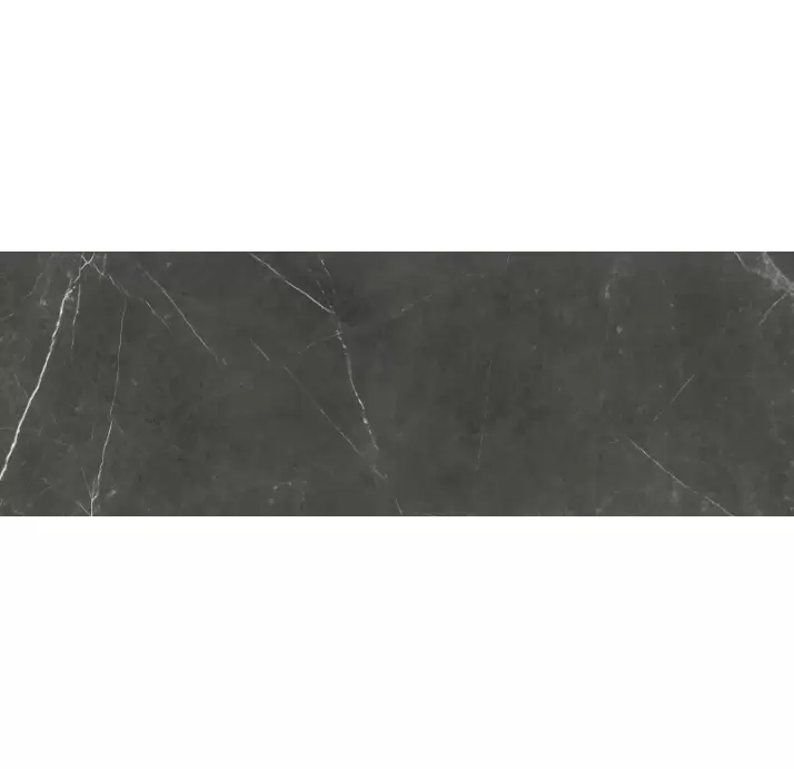 Крупноформатная плита PALADIO MARR.10 SR 100X300 Графитовый 300X100X10,5 (NCR01248)