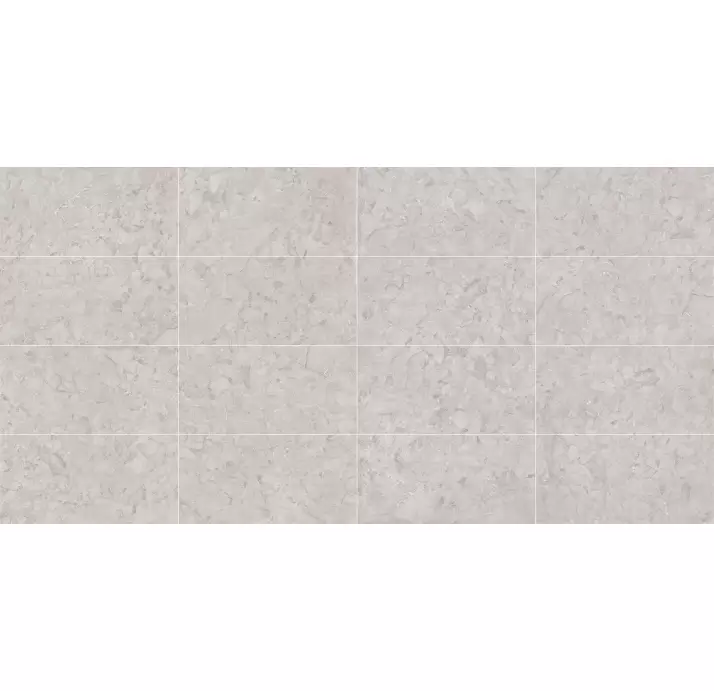 Керамическая плитка ARACRUZ GRIS       60X120 Бежевый 120X60X10 (NCR00075)