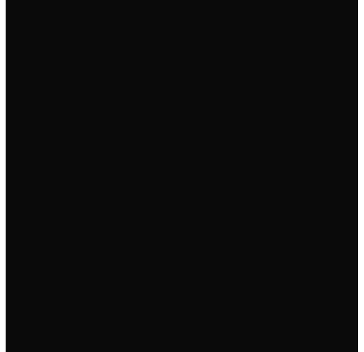 Керамическая плитка BLACK  20X20X9 (NCR02099)