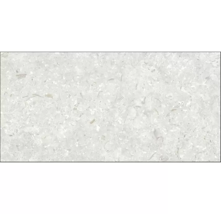 Керамическая плитка FOSIL PERLA 30X60 REC. Серый 60X30X10 (NCR00683)