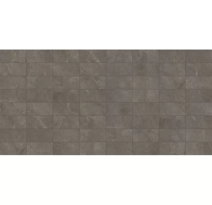 Керамическая плитка PALERMO TAUPE 30X60  REC. Серый 60X30X10 (NCR01273)