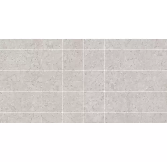 Керамическая плитка ARACRUZ GRIS       30X60 Бежевый 60X30X10 (NCR00074)