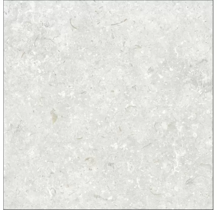 Керамическая плитка FOSIL PERLA  60X60 REC. Серый 60X60X10 (NCR00682)