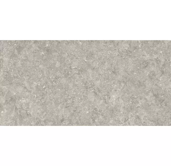 Керамическая плитка BLUE STONE GRIS   50X100 5,6 Серый 100X50X5,6 (NCR00313)