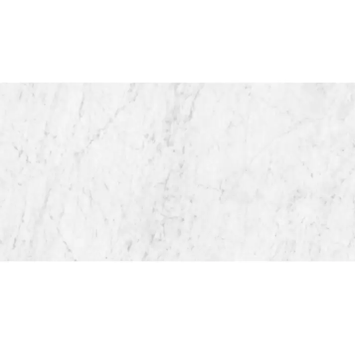 Керамическая плитка MARMOREA CARRARA  59X119 PUL. Серый 119X59X10 (NCR00945)