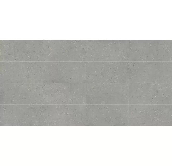 Керамическая плитка MITICA GRIS       60X120 REC. Серый 120X60X10 (NCR01123)
