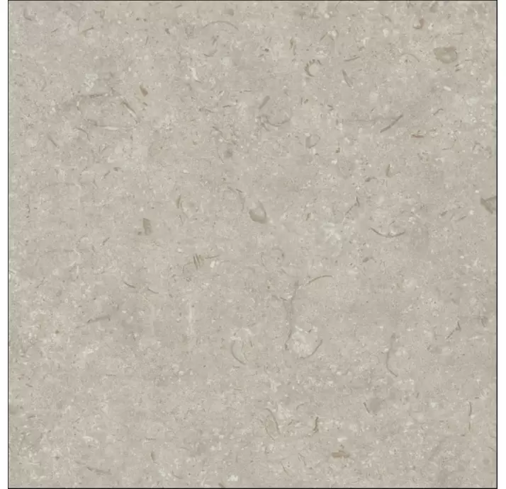 Керамическая плитка FOSIL GRIS REC. Серый 80X80X10 (NCR00681)