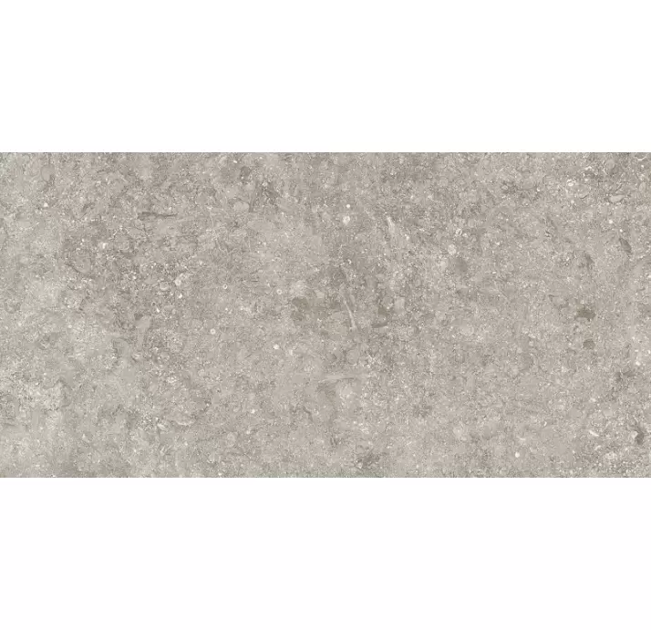 Керамическая плитка BLUE STONE GRIS   60X120 5,6 Серый 120X60X5,6 (NCR00314)
