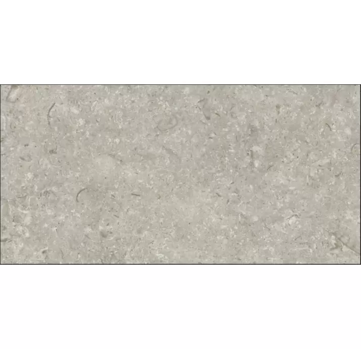 Керамическая плитка FOSIL GRIS   30X60 REC. Серый 60X30X10 (NCR00679)