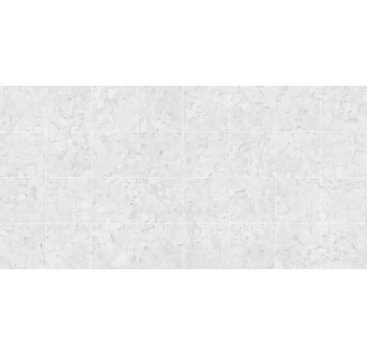 Керамическая плитка ARACRUZ BLANCO     60X60 Серый 60X60X10 (NCR00072)