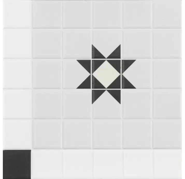 Керамическая плитка BUCKINGHAM  20X20X9 (NCR02114)