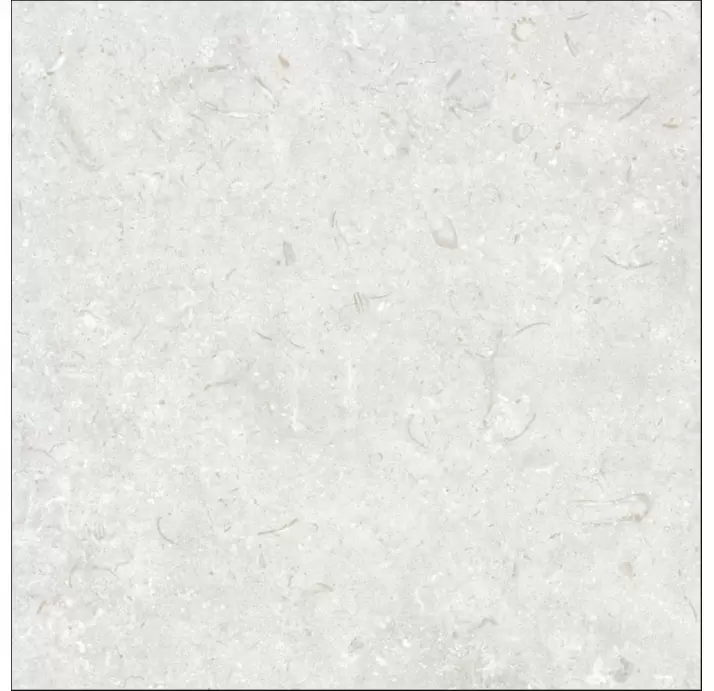 Керамическая плитка FOSIL PERLA 80X80 REC. Серый 80X80X10 (NCR00684)