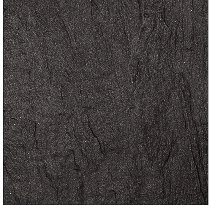 Керамическая плитка ALPES NEGRO    30X30 REC. Графитовый 30X30X10 (NCR00031)